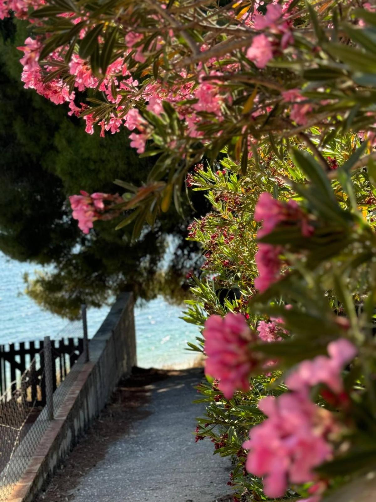Villa Stadi Никити Екстериор снимка
